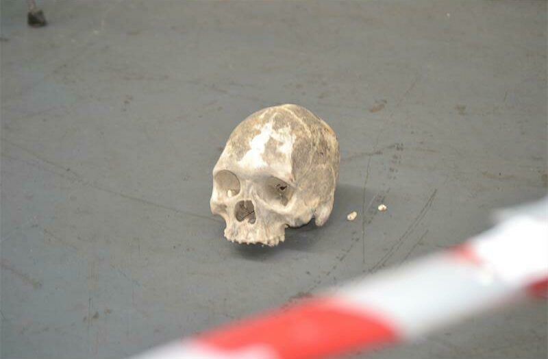 12BECRIMESKULLS_83349