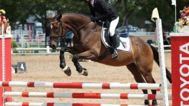 12BESCHOOLEQUEST_79565