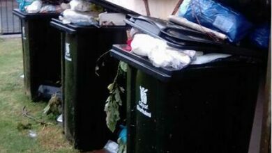 IMG-20230330-WA0009_44812