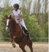 Rider