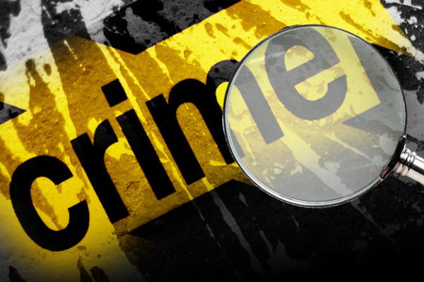 Operation Shanela nets 277 suspects around Ekurhuleni