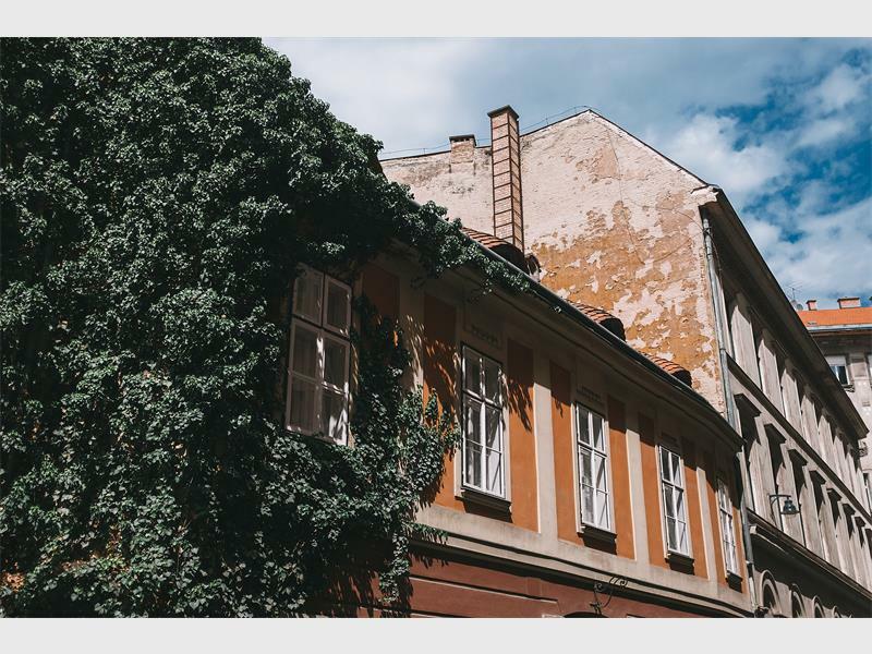 pexels-maria-orlova_98400