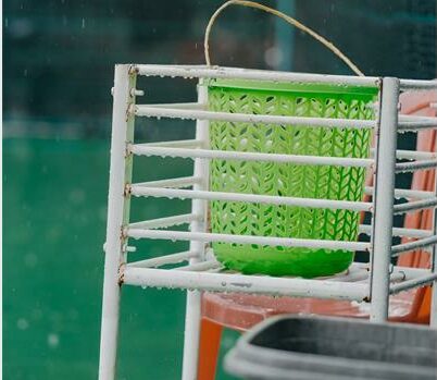 pexels-pew-nguyen-1_63306