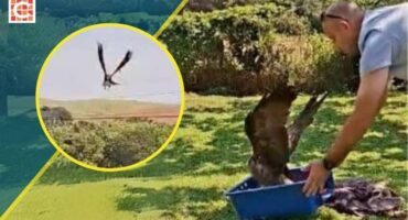 Nev_Lifestyle feature images - 28