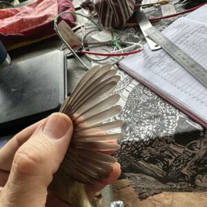 Volunteers were delighted when a willow warbler, fresh from a 10 000km journey, was caught and released during a recent ringing session.