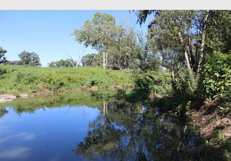 Modderfontein Nature Reserve: A tranquil escape for Johannesburg locals this festive season