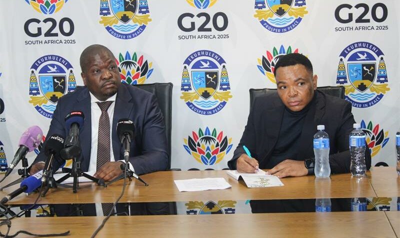 Ekurhuleni HR head placed on precautionary suspension