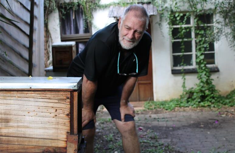“Bee” wise amid rising temperatures.