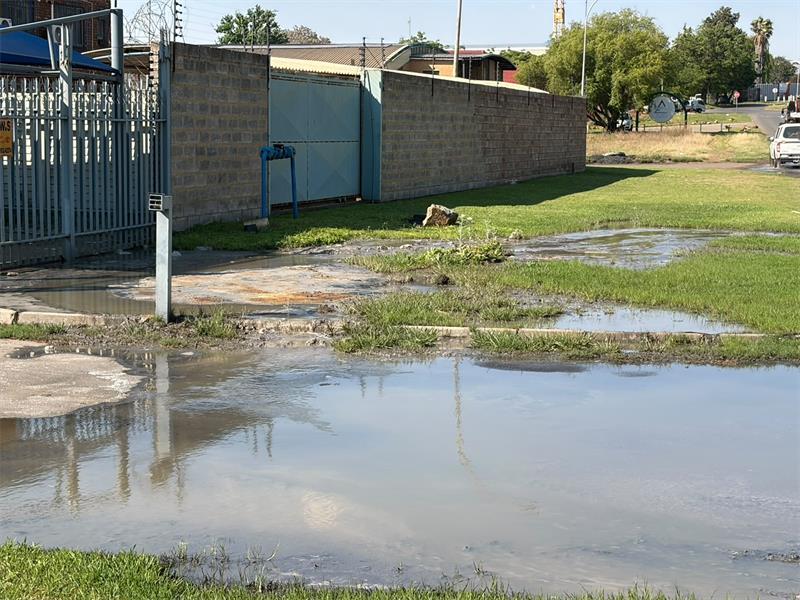 A prolonged sewage problem in Wadeville has raised concerns about possible environmental damage to the Rondebult Nature Reserve and Bird Sanctuary, despite the City of Ekurhuleni clearing the reported blockage.
