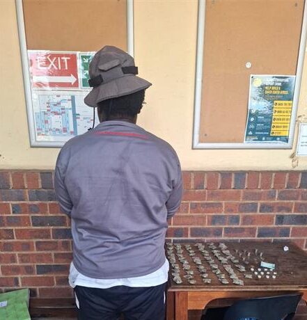 EMPD officers confiscated over R29 000 worth of illicit drugs, arresting nine suspects during targeted multi-area raids across Katlehong, Germiston and other areas.
