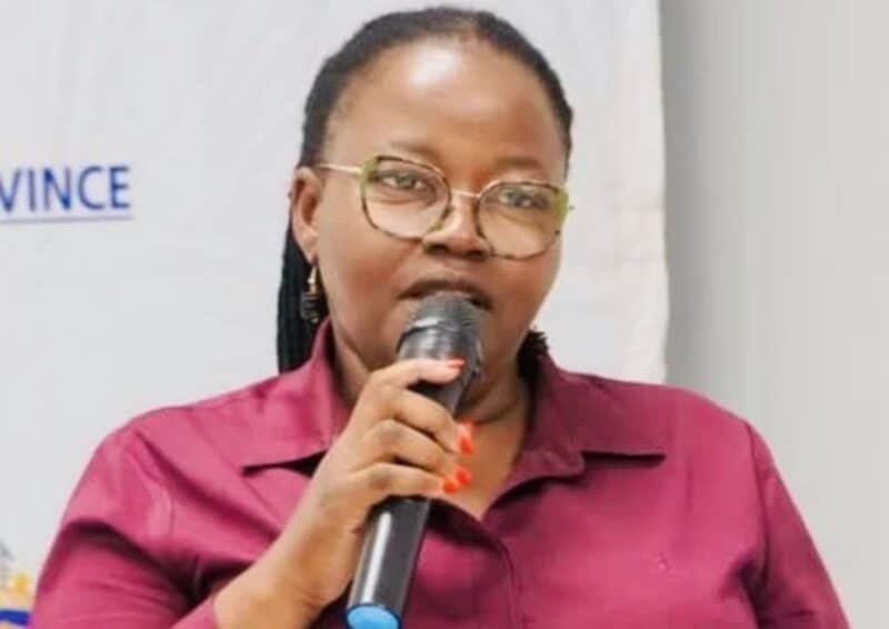 The new Gauteng Public Transport Regulatory Information System aims to reduce administrative delays, improve transparency and make operating licence services more accessible.