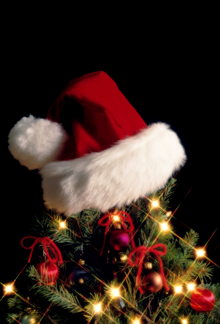 History of the Christmas tree African Reporter