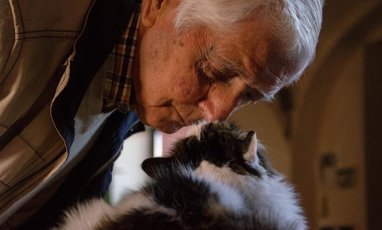 ElanaWagner-23-11-2021-Senior-PetForDementia.1 (Medium)