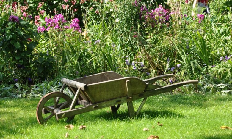 Gardening