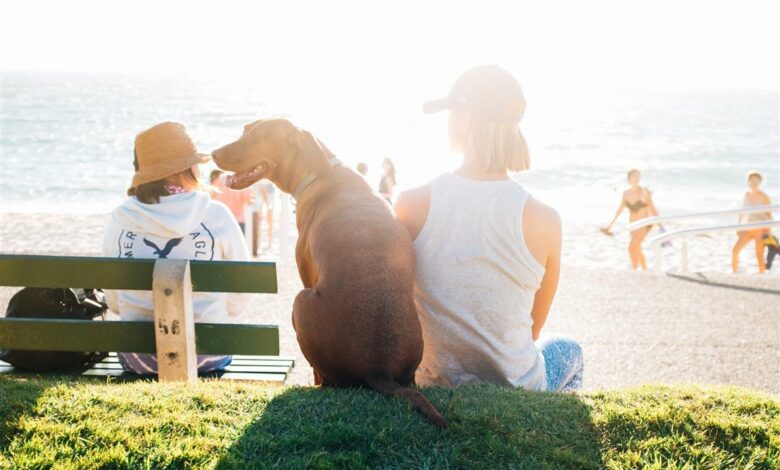 ElanaWagner-03-12-2021-Pets-BeachHoliday.2 (Medium)