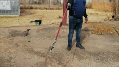 LuckyMahlangu_24690