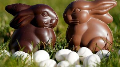 easter-bunny-g27f76_63544