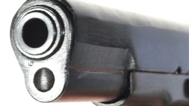 gun1-Large_19431