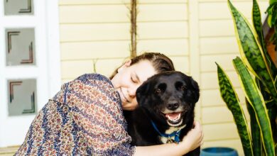 ElanaWagner-16-12-2022-Pets-Adoption,2