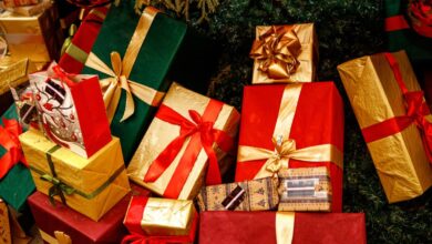 file-20191126-11248_45224