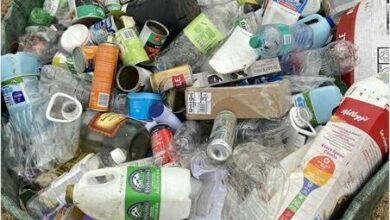 Wastecollectorbul_83120