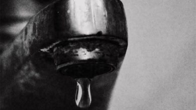 pexels-barış-yiğ_61111