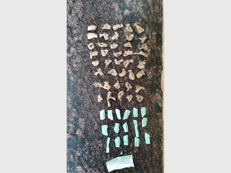 The 42-year-old, who was arrested for being in possession of R3 700 worth of drugs, was detained at Duduza Police Station.
