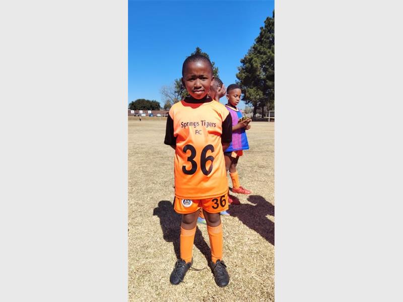 Goals flowed for Springs Tigers as the club's teams secured seven wins across two days of ELFA fixtures, highlighted by convincing derby victories.