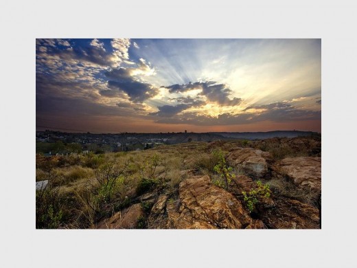 The Melville Kopies Reserve gives visitors a taste of Johannesburg before the gold rush. Source: www.broketourist.net