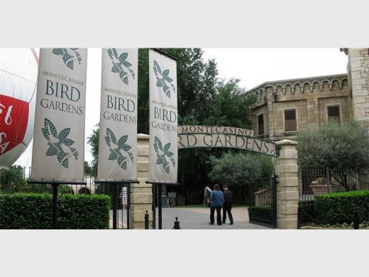 The Montecasino Bird Gardens offers a fun-filled day for families interested in birding and wildlife. Source: South African Tourism