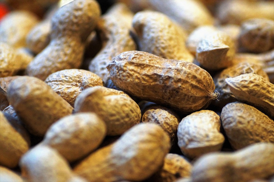 peanuts-2163043_960_720