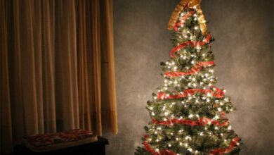 christmas-gad32d3e7_12230