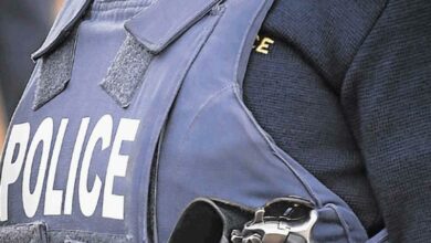 SAPS1_07415