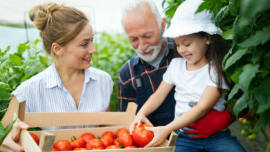 Reasons for your child to eat organic