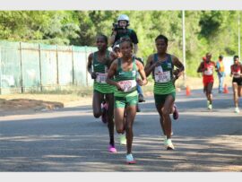 P4PhotoNicholasZ_39512