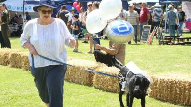 Mel Morrison decorates guide dog