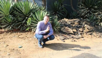 Ward 102 councillor David Potter