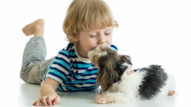 Does your three- to five-year-old know their ABC’s?