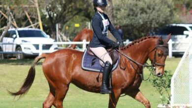 Hannah Hotz during her horse riding practice.