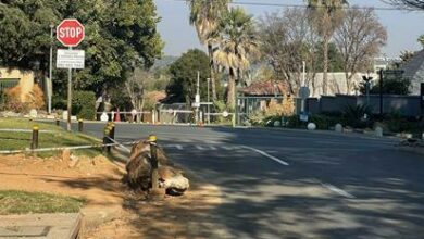 Longer view on the rubble left by Joburg Water after fixing sewage leak.
