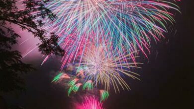 Celebrate 125 years of St John’s College at Light on the Night.