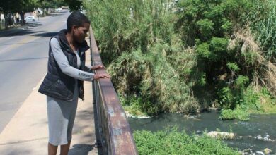 Road user Naidine Sibanda conquering her fear of heights in staring down the high bridge on Buccleuch Drive. Photos: Lebogang Tlou