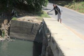 Road User Naidine Sibanda on her tour of bridges in Buccleuch, observing the low bridge on Bridge Road. Photo: Lebogang Tlou