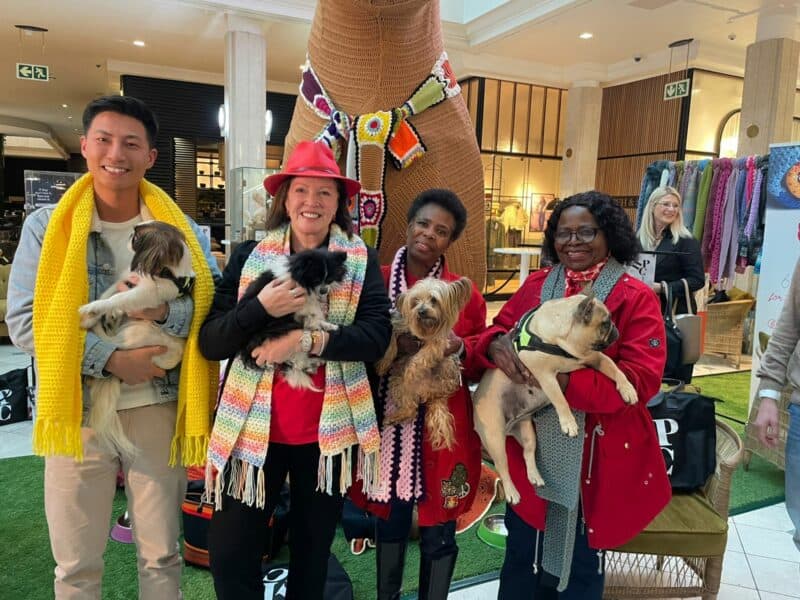 Knitted scarves and cuddly puppies brought purpose and joy to Hyde Park Corner for Mandela Day, as 67 Blankets and Woodrock Animal Rescue joined forces to spread warmth.