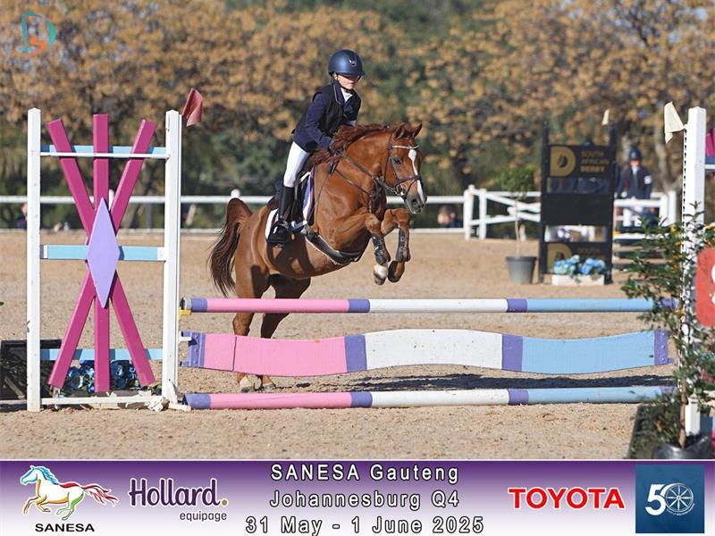 Training every day after school, balancing multiple disciplines, and still riding for the love, Lyah Gliksman shares how much she loves her equestrian sport.