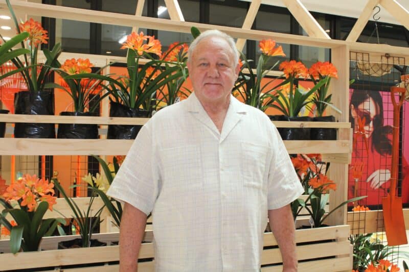 Clivias and plant lovers are invited to visit Hyde Park Corner for the Made to Bloom pop-up store to discover more about Clivias.