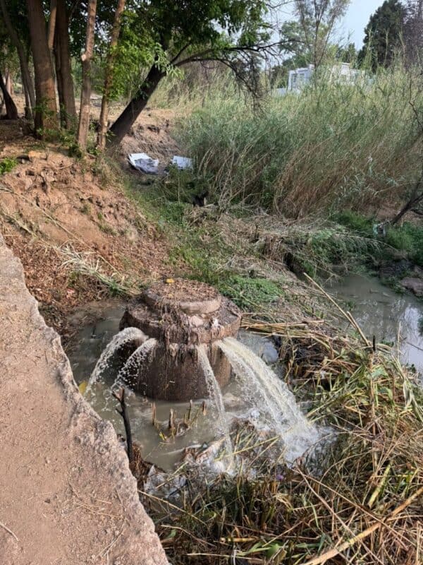 A Bryanston manhole has become a recurring nightmare, flooding a resident's driveway with sewage and spilling into the Sandspruit River.