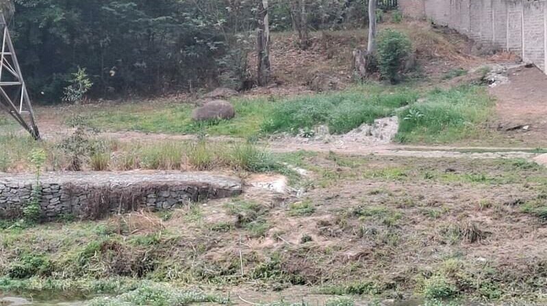 Ward 103 councillor Lynda Shackelford calls for urgent action after another sewage pipeline collapse causes prolonged pollution along the Braamfontein Spruit.