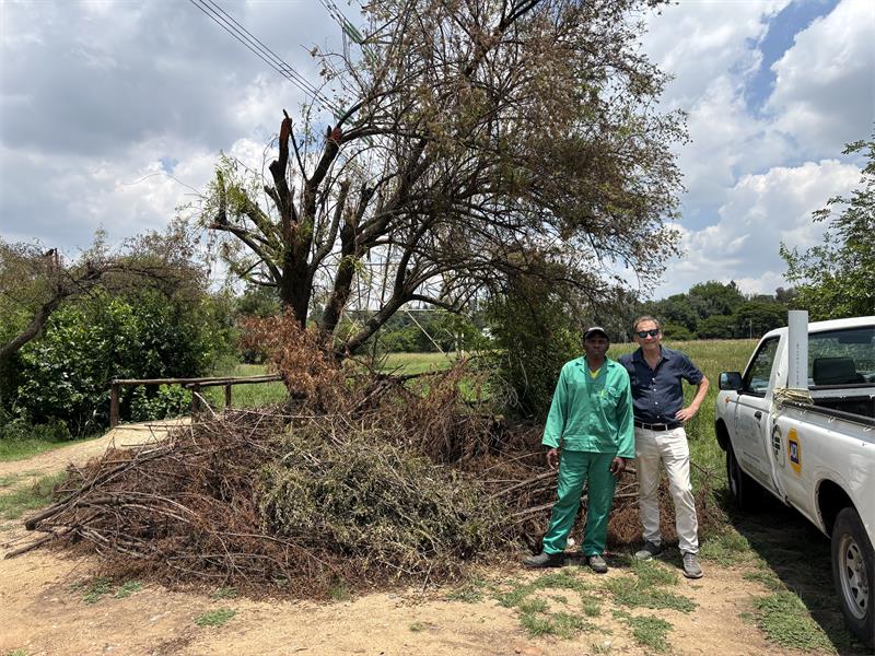 The forum claims pruning beneath power lines, done by Eskom contractors, was done without care, and left a fire risk along a popular footpath.