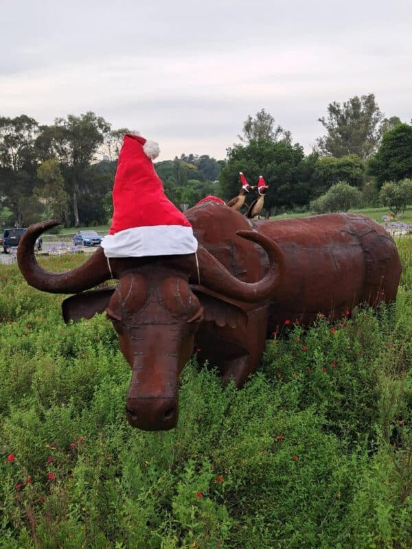 Holiday spirit has landed in Bryanston East.